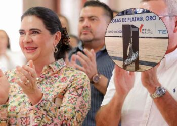 Tampico Escoba de Platino