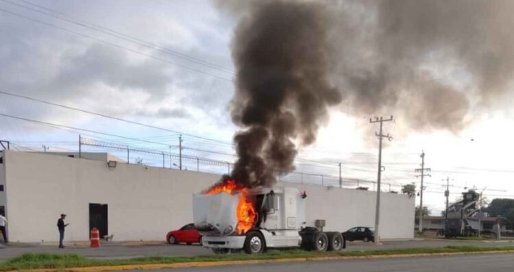 tráiler llamas Zuazua