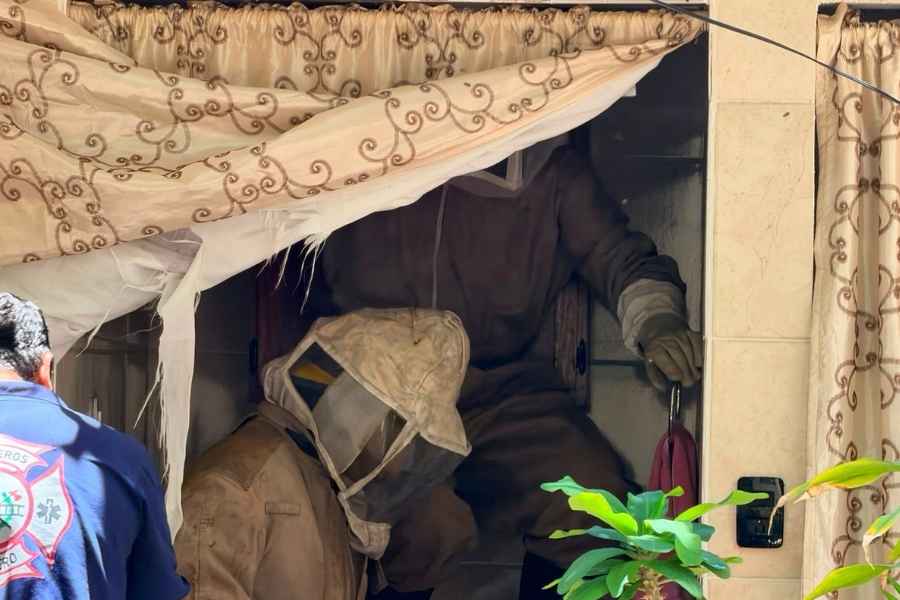 Tras denuncia vecinal, Bomberos retiran panal de abejas en Cd. Madero, Tamaulipas