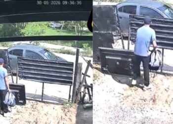 Video evidencia cómo presuntos ladrones saquean casa a plena luz del día en Cd. Victoria, Tamaulipas