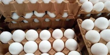 baja precio del huevo Matamoros