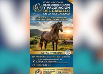 caballos en México