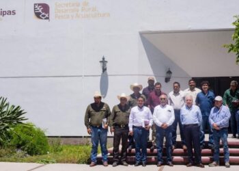 cancro de los cítricos en Tamaulipas