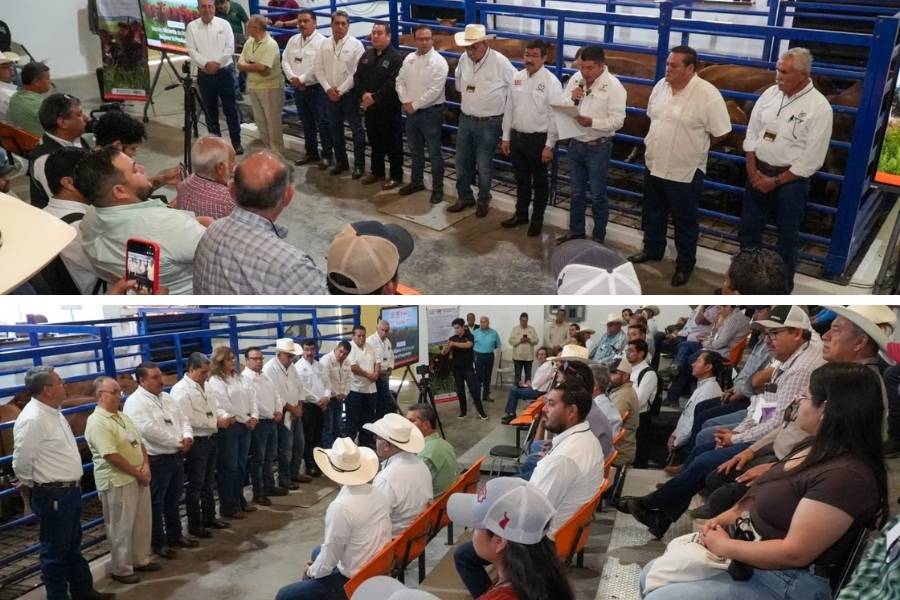 capacitación ganadera en Tamaulipas