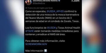 gusano barrenador en Texas