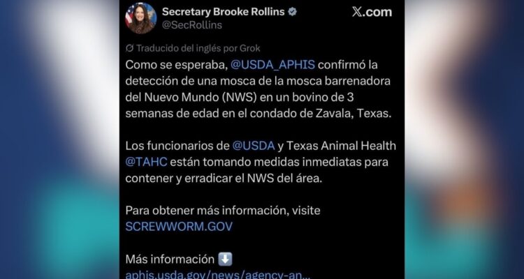 gusano barrenador en Texas