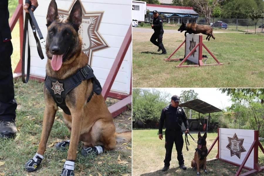 operativos caninos Guardia Estatal