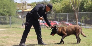 operativos caninos Guardia Estatal