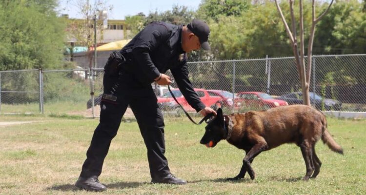 operativos caninos Guardia Estatal
