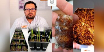 patenta la UAT bioplásticos