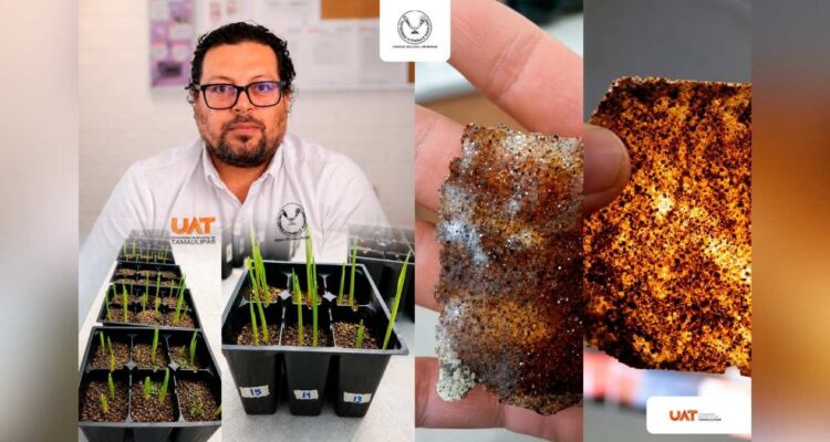 patenta la UAT bioplásticos