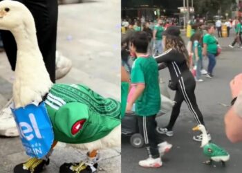 pato Merlin mundialista