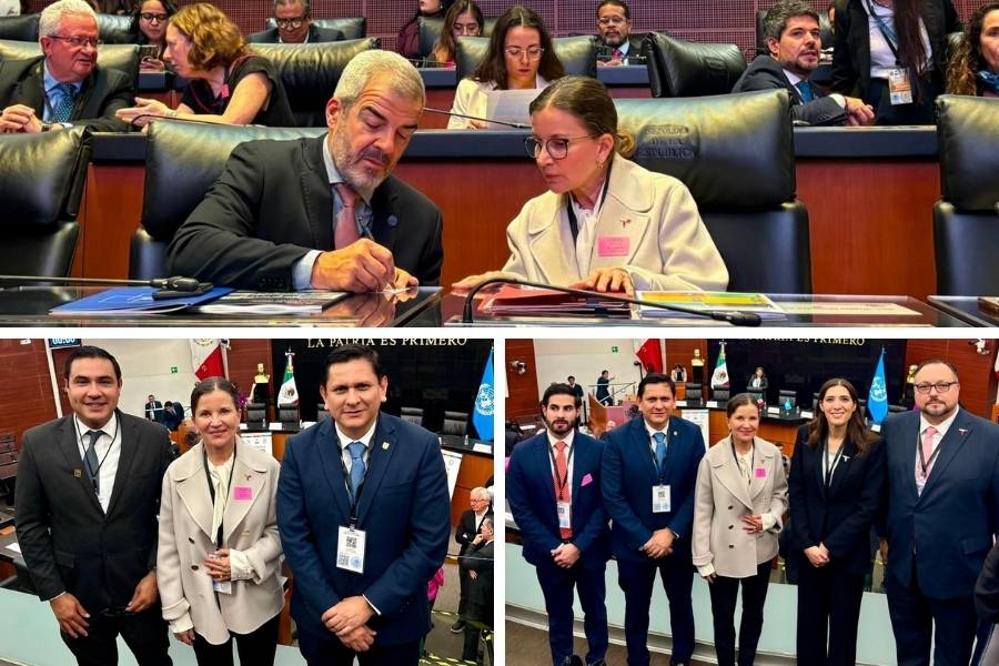 políticas públicas Tamaulipas