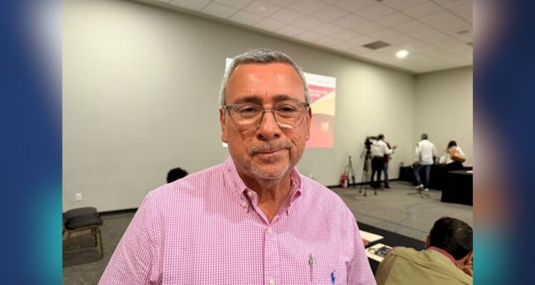 recolección de mango en Tampico