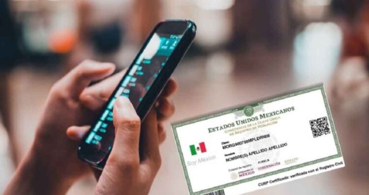 registro del número celular