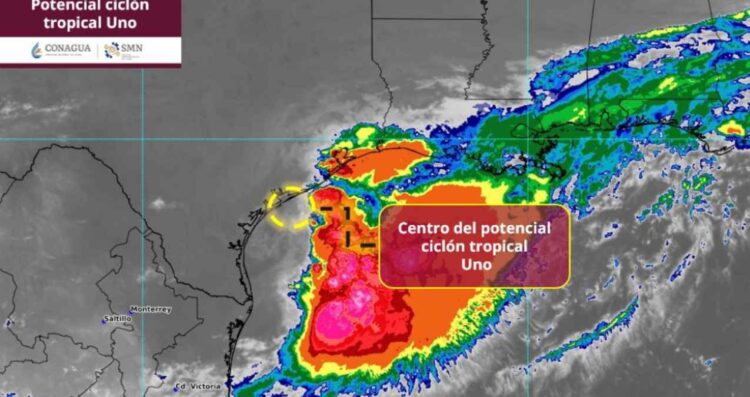 ¿Qué día podría evolucionar el Potencial Ciclón Uno a tormenta tropical tras formarse frente a las costas de Tamaulipas?
