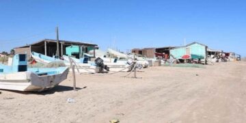 Altas temperaturas afectan captura de camarón y jaiba en Matamoros, Tamaulipas