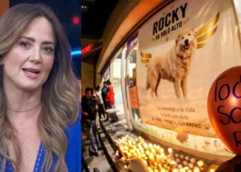 Andrea Legarreta reacciona a la muerte de Rocky, el perrito que fue arrastrado por una camioneta
