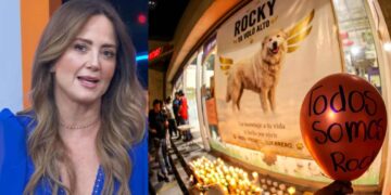 Andrea Legarreta reacciona a la muerte de Rocky, el perrito que fue arrastrado por una camioneta