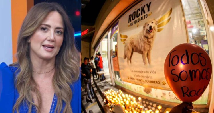 Andrea Legarreta reacciona a la muerte de Rocky, el perrito que fue arrastrado por una camioneta