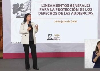 Ley Censura Lineamientos