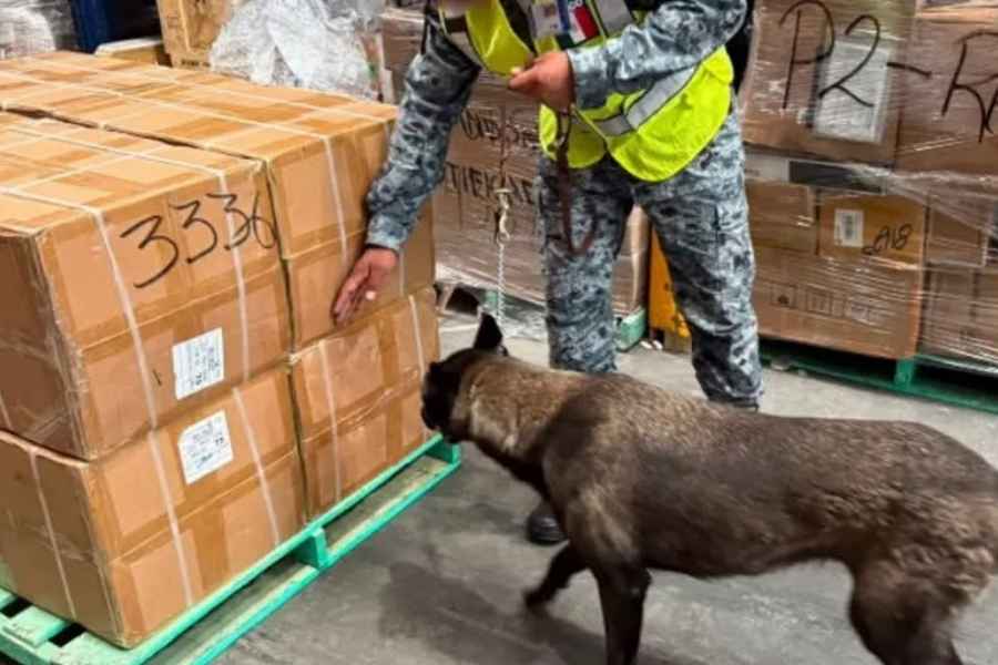 Aseguran 60 mil cajetillas de cigarros ilegales en el AIFA de Ciudad de México