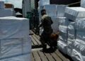 Aseguran más de 8 millones de cigarros apócrifos en el puerto de Manzanillo, Colima