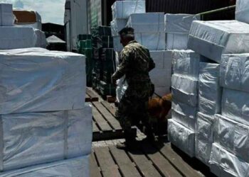 Aseguran más de 8 millones de cigarros apócrifos en el puerto de Manzanillo, Colima