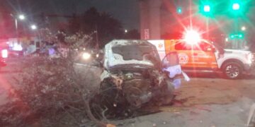 Automovilista pierde el control y termina por derribar un árbol en Monterrey, NL