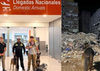 Binomios caninos del Grupo Jaguares regresan a Nuevo León tras labores de búsqueda y rescate en Venezuela