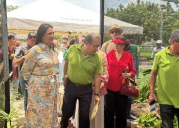 Bromeliario en Tampico