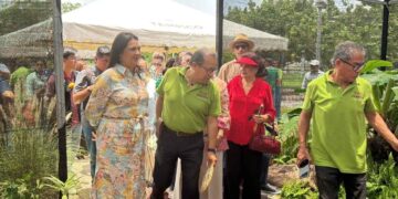 Bromeliario en Tampico
