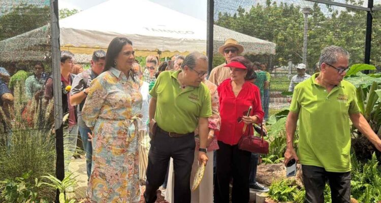 Bromeliario en Tampico
