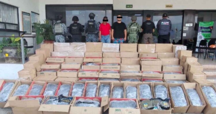 Detienen a tres hombres con cerca de 700 kilos de marihuana en Chiapas