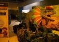 Dino Frontera Nuevo Laredo