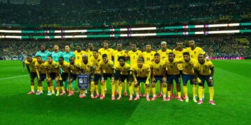 FEF FIFA México