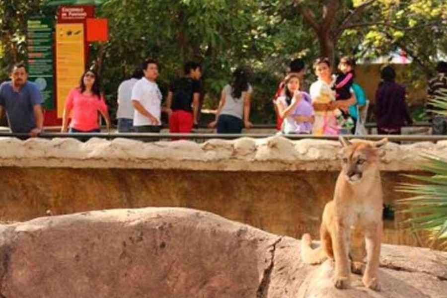 Evalúan necesidades del Zoológico Tamatán en Cd.Victoria, Tamaulipas, para mejorar el cuidado animal