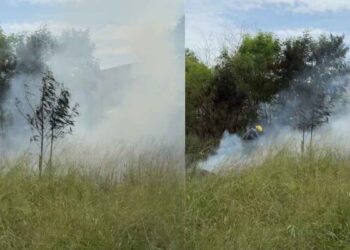 incendio Praderas II Matamoros