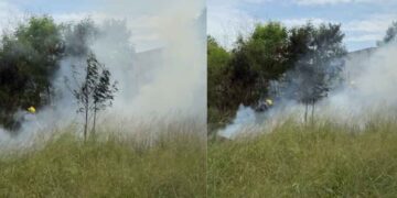 incendio Praderas II Matamoros