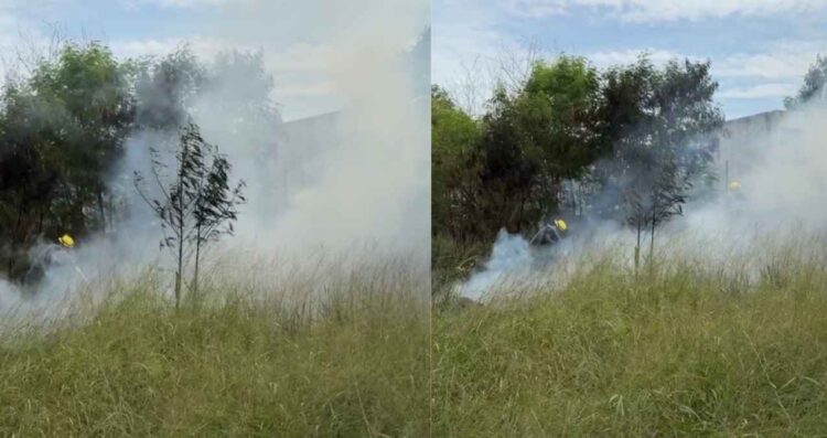 incendio Praderas II Matamoros