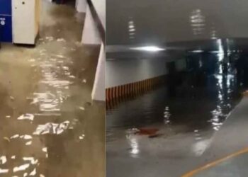 Cámara de Diputados inundación