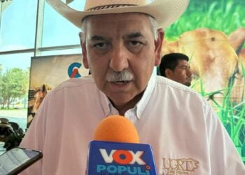 Ganaderos de Tamaulipas atribuyen caída del precio del becerro a importaciones de Brasil