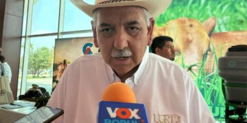 Ganaderos de Tamaulipas atribuyen caída del precio del becerro a importaciones de Brasil