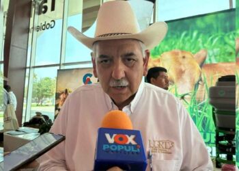 exportaciones ganado Tamaulipas