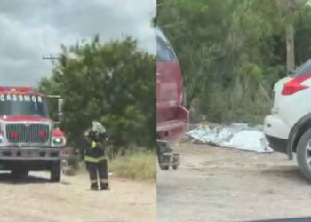 Hombre ataque de abejas en Matamoros