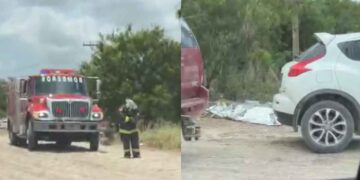 Hombre ataque de abejas en Matamoros