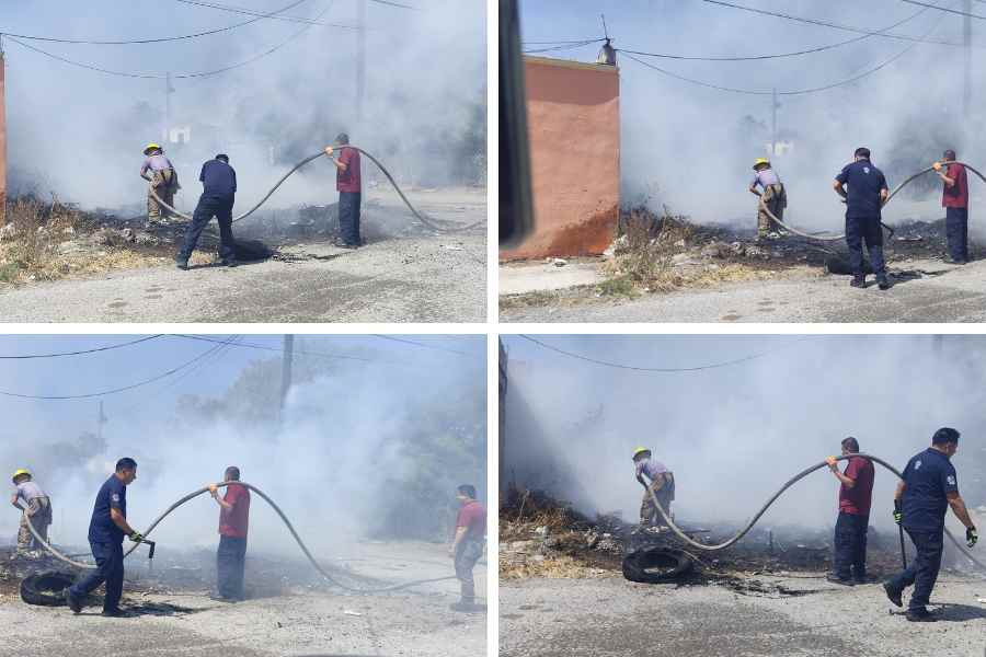Incendio en predio de Victoria