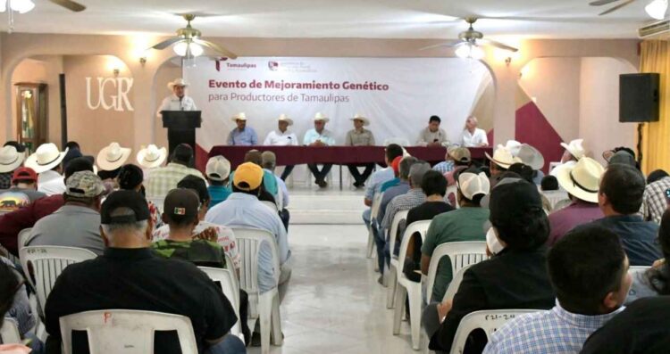 Incentiva Gobierno de Tamaulipas competitividad del sector ganadero