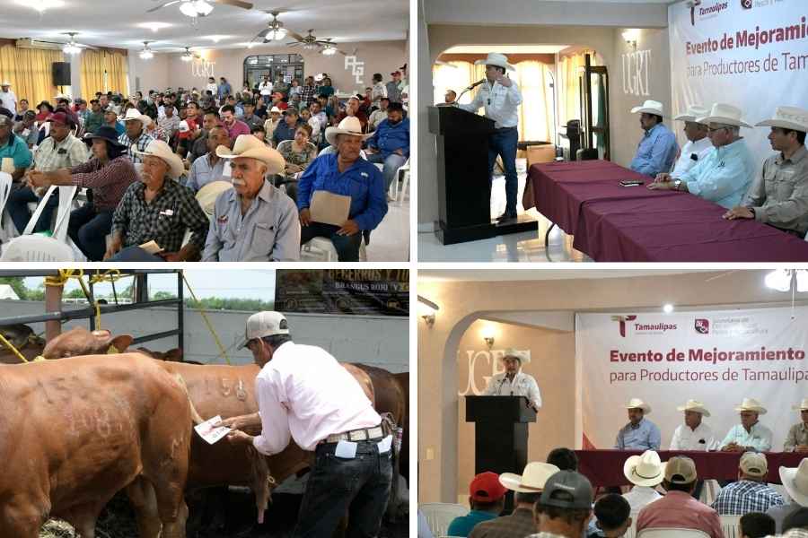 Incentiva Gobierno de Tamaulipas competitividad del sector ganadero