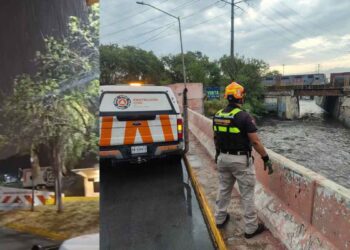 Lluvias en Nuevo León provocan caída de árboles, cortocircuitos y cierres preventivos